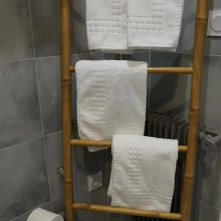 Spacieux Et Cosy - Centre *