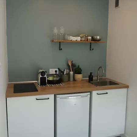 Apartment Spacieux Et Cosy - Centre Strasbourg